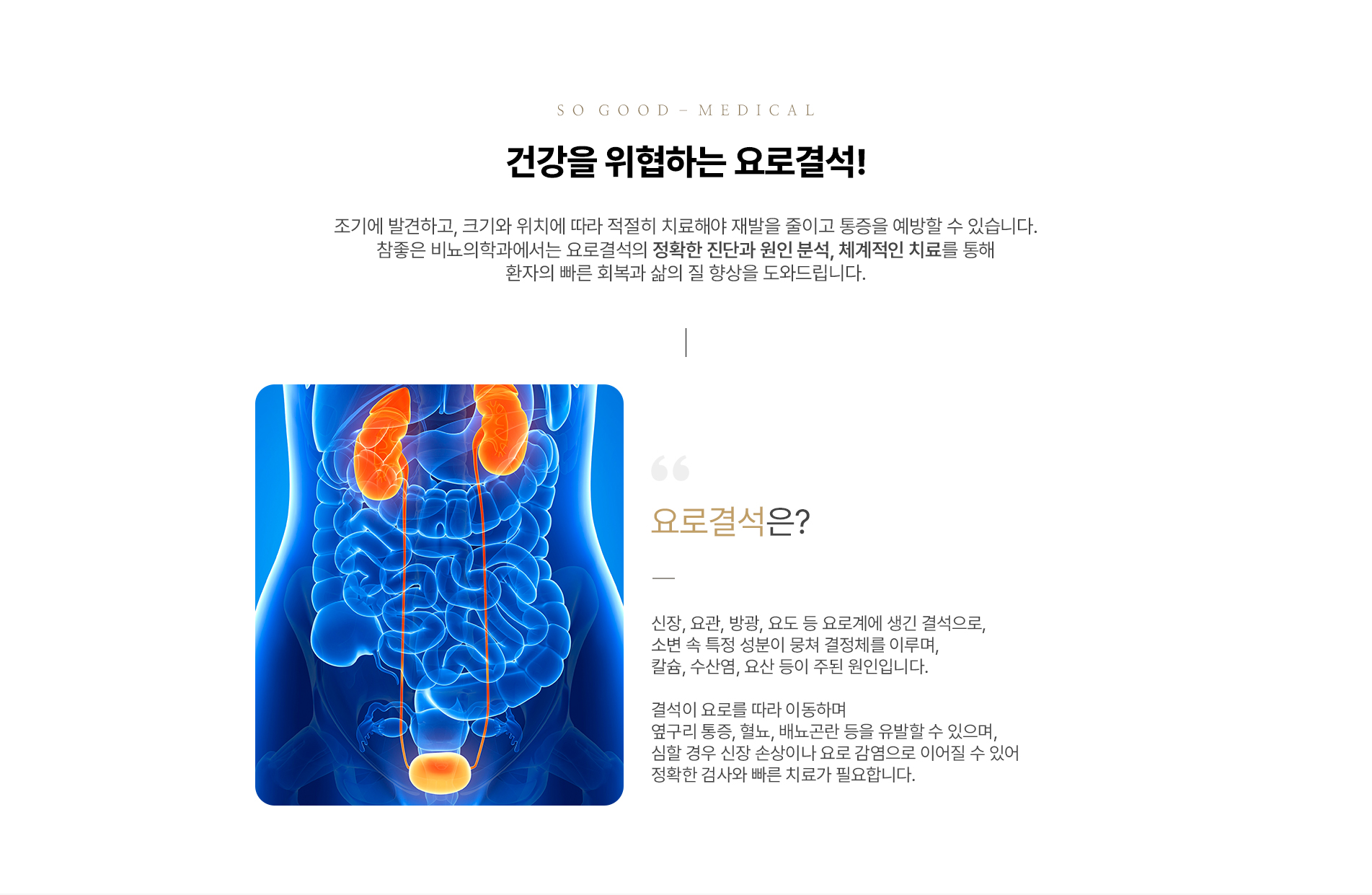 요로결석클리닉이란?